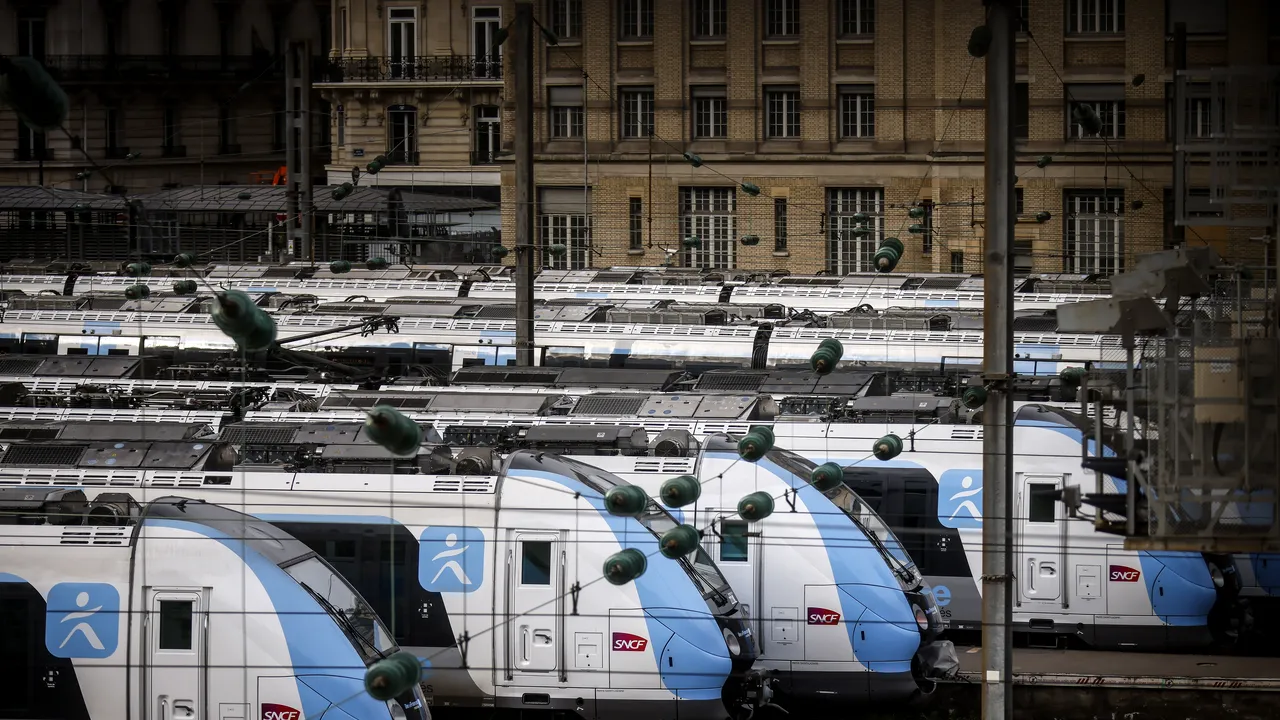 Câteva mii de pasageri au aşteptat mai bine de o oră într-o gară din Paris, după ce o pisică a deranjat traficul