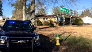 Incident tragic în Statele Unite: Un copil de trei ani şi-a împuşcat mortal sora - FOTO, VIDEO