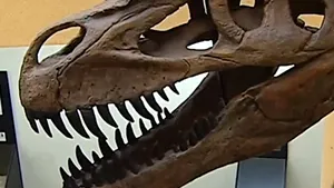 STUDIU: Cel mai mare dinozaur carnivor european, descoperit în Portugalia - VIDEO