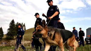Jandarmii montani şi salvamontiştii au început căutarea elicopterului prăbuşit la Fundata