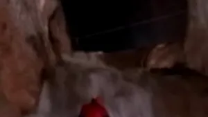 Trei speologi blocaţi în interiorul peşterii Cociu. Operaţiunea de salvare, cea mai complexă din România - VIDEO