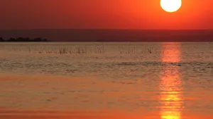 Turiştii români pot călători, în premieră, în croaziere all inclusive de 7 nopţi pe Dunăre. Care este preţul sejurului