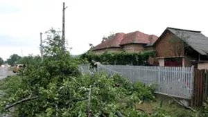 Gorj: O furtună puternică a ucis un om şi a produs mai multe pagube