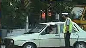 Cetăţenii care nu îşi plătesc amenzile date de poliţişti, obligaţi să lucreze în folosul comunităţii