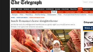 Scandalul cărnii de cal: Reportaje în presa străină la abatoarele din România