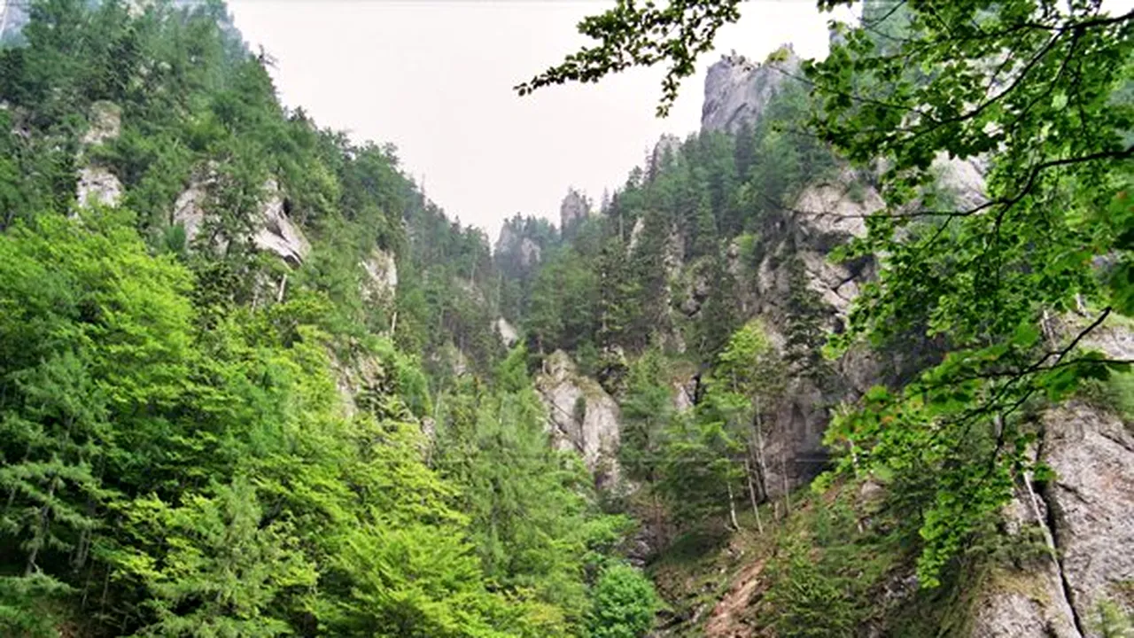 Un tânăr a fost scos de salvamontişti dintr-o râpă de pe Transfagărăşan