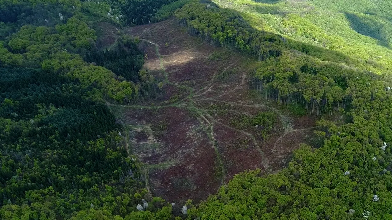 Organizaţii de mediu: Cascada Bigăr, obiectiv turistic cu care România se mândreşte, este înconjurată de DEFRIŞĂRI masive | VIDEO