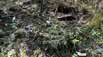 Primele imagini cu drona doborâtă în Estonia de avionul de vânătoare F-16 pilotat de români