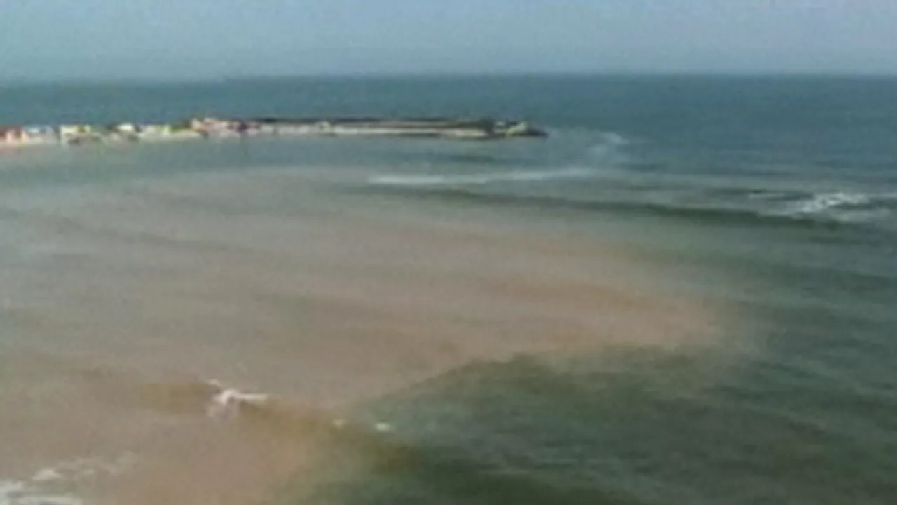 Furtunile au transformat Marea Neagră în Marea Roşie - VIDEO
