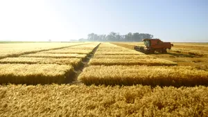 Inovația ajută fermierii români să își asigure productivitatea și leadershipul în domeniul cerealelor la nivel european