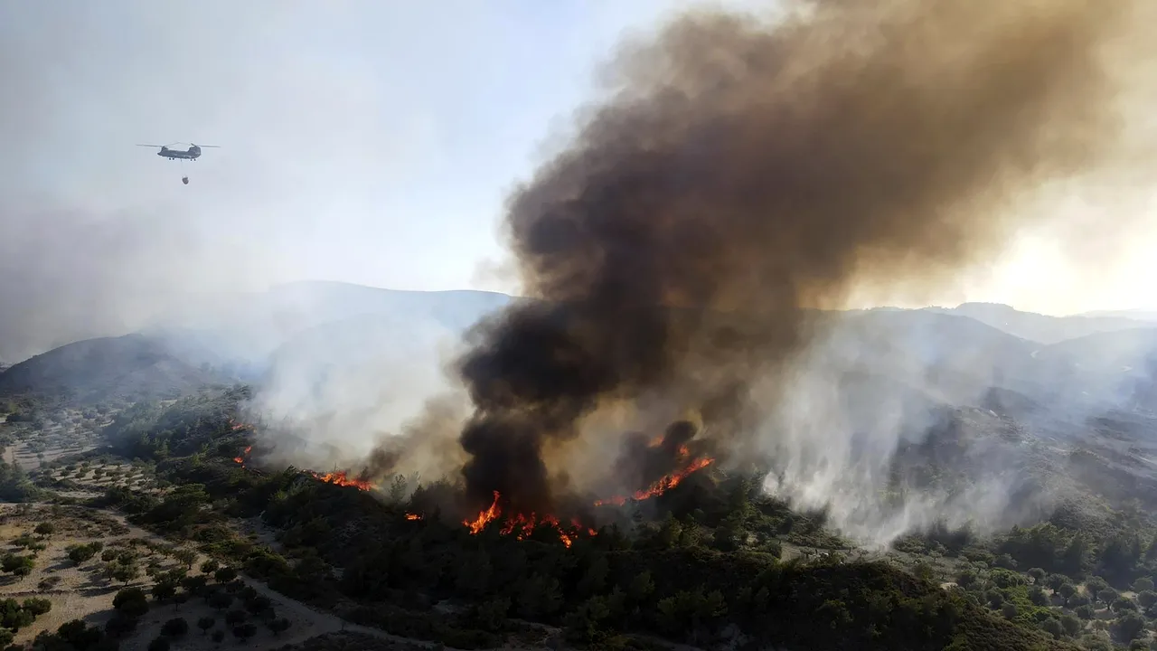 Incendiile de vegetaţie din Grecia: 18 cadavre au fost găsite într-o pădure