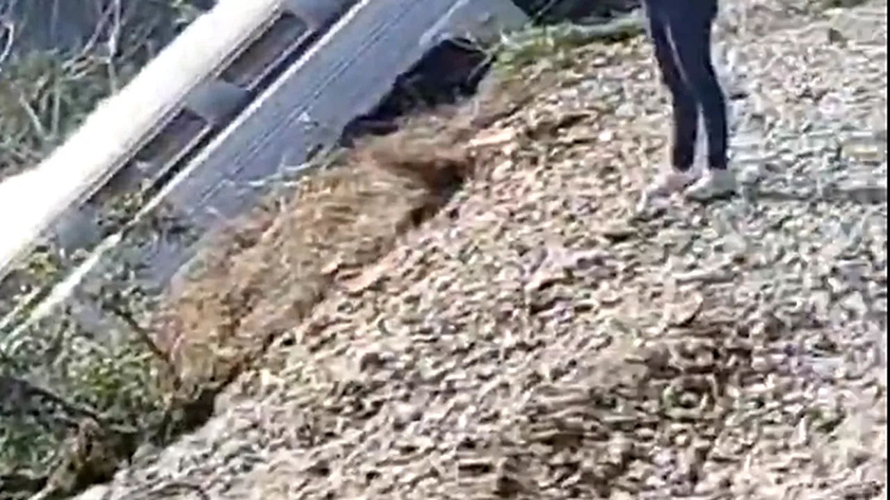 Cel puțin 13 morți și peste 90 răniți după ce un tren a deraiat în statul Oaxaca, din Mexic