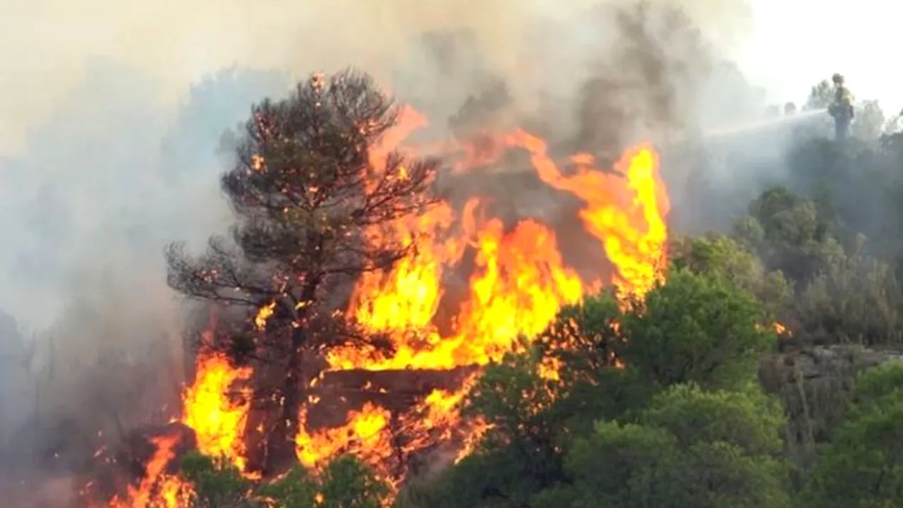 Un puternic incendiu de vegetaţie a izbucnit în nord-estul Spaniei | FOTO