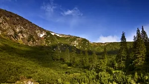 Institutul Geologic: Nu sunt indicii privind recrudescenţa activităţii vulcanice în Muntele Ciomatu