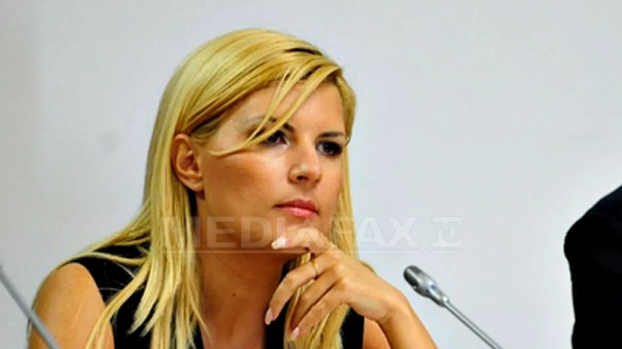 Udrea nu exclude remanierea Guvernului sau trecerea unei moţiuni de cenzură
