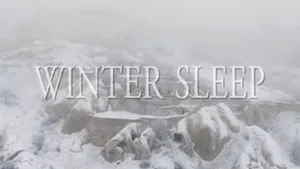 Proiecţii suplimentare pentru şase filme de Cannes, între 13 şi 16 noiembrie, în Bucureşti - VIDEO