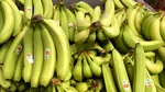O banană de milioane de dolari a fost furată dintr-un muzeu din Franța. Povestea celebrei opere de artă