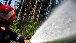 UPDATE: Peste 15 hectare de pădure au luat foc în judeţul Ilfov