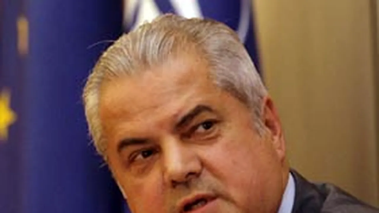 Năstase: Băsescu este de vină pentru nepopularizarea temelor europene