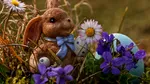 De ce sunt ouăle și iepurii simboluri ale Paștelui. Originea unor tradiții vechi de secole