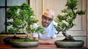 Nicu Bocancea, master florist: „Plantele-gigant de interior sunt ”vedetele” caselor românilor în această primăvară”