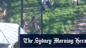 Alertă la un parc zoo din Australia: cinci lei au ieşit din cuşca lor şi s-au plimbat pe alei