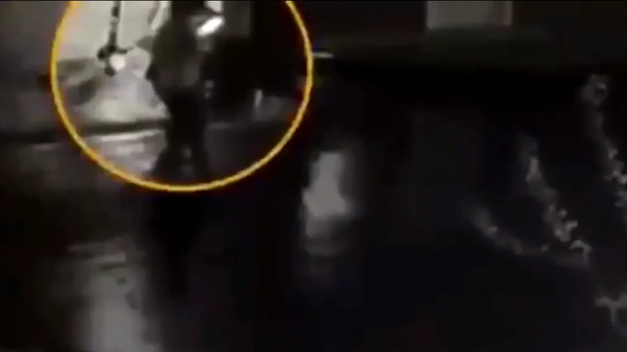 VIDEO. Momentul în care un disident iranian este asasinat în Istanbul
