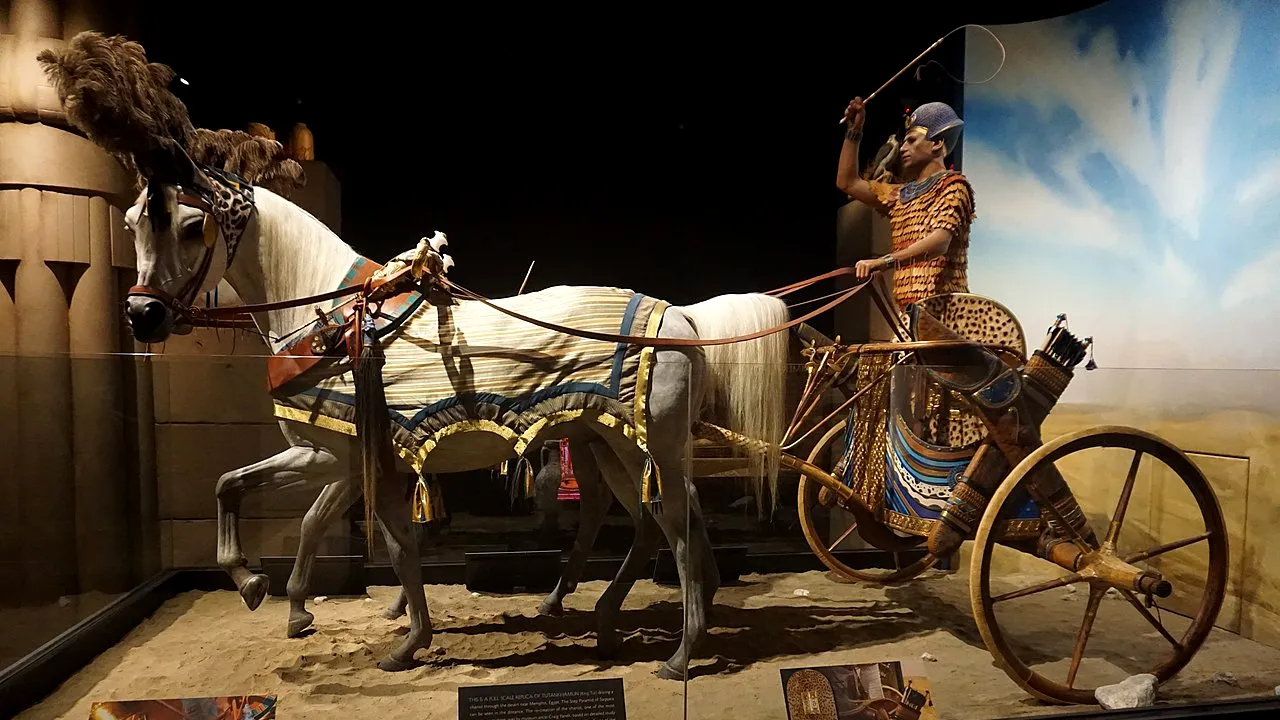 Tutankhamon a murit după ce a condus băut într-o cursă cu cai 