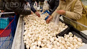 Un român mănâncă un kilogram de ciuperci pe an, de patru ori mai puţin faţă de media UE