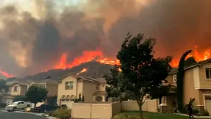 Incendii devastatoare în Los Angeles: Zeci de mii de oameni evacuaţi, după ce peste 1.500 de hectare de vegetaţie au fost cuprinse de flăcări - FOTO, VIDEO