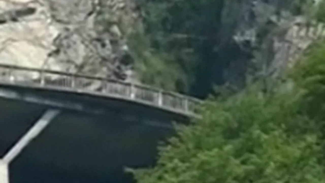Hidroelectrica a primit cinci oferte pentru retehnologizarea hidrocentralei Vidraru