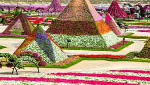 Piramida de flori din deşert. Lucrurile pe care nu te-ai aştepta să le găseşti în pustiu - FOTO