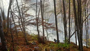 Incendii de vegetaţie în Hunedoara: Peste 15 hectare de pădure au fost afectate - FOTO