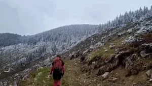 „Simplu... fără alte cuvinte