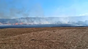 Incendiu de vegetație uscată în județul Vaslui. Au ars aproximativ 50 de hectare