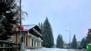 Cod galben de ninsori în mai multe judeţe din ţară. Trafic îngreunat în Predeal şi Poiana Braşov