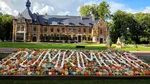 Un dovleac cât o mașină mică, vedeta unui festival din Belgia. Cântărește 772 de kilograme