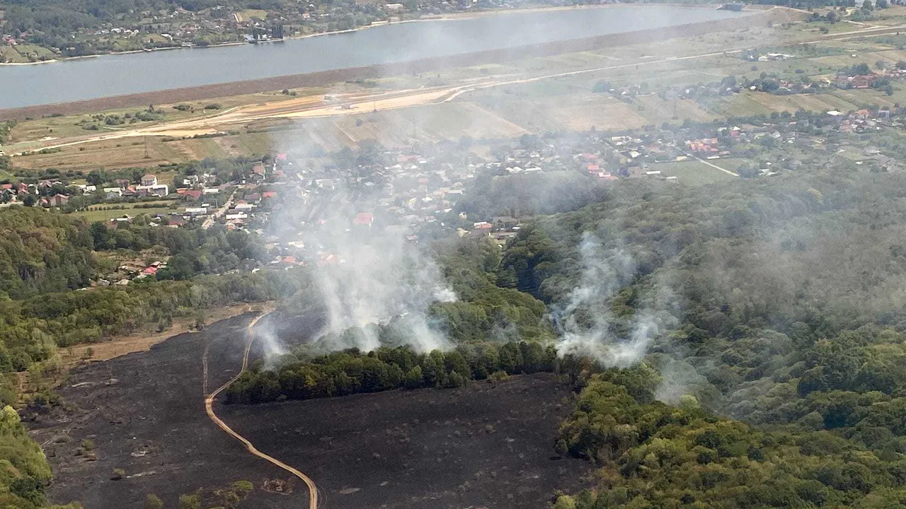 Opt incendii de vegetaţie, sâmbătă, în judeţul Argeş