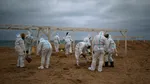 Deversarea de petrol din strâmtoarea Kerci perturbă sezonul turistic la Marea Neagră