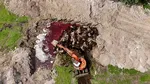 Colaps ecologic în Lesbos / 32.000 de animale, îngropate fără protecție