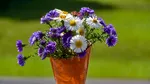 Poți prelungi viața florilor din vază cu ajutorul a două ingrediente comune în bucătărie