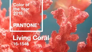 Compania Pantone, acuzată că ar fi furat ideea de promovare a culorii anului 2019