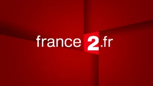 Atentatul de la Nisa: France 2, acuzată de derapaj jurnalistic, după ce a difuzat imagini violente şi interviuri cu victime în stare de şoc 