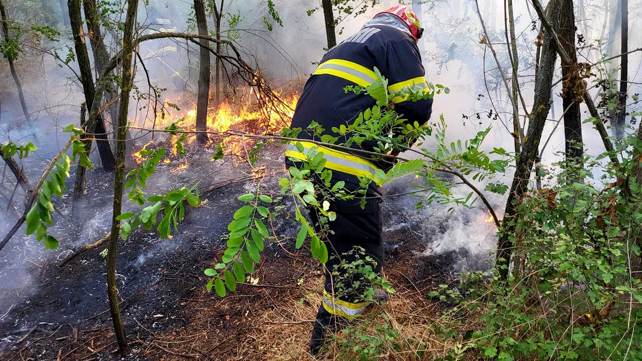 Incendiu de vegetaţie pe 42 de hectare, în Giurgiu, provocat de un foc lăsat nesupravegheat