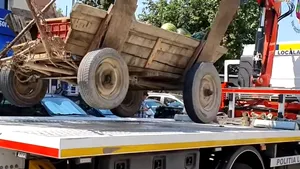 Cu ochii pe pepeni. Poliţiştii din Sectorul 4 au confiscat o căruţă cu fructe. Ce spune primarul VIDEO