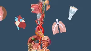 După 13 tratamente fără rezultat și ani de chin, stimularea nervului vag a schimbat evoluția depresiei