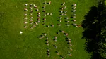 De 10 ani, Edenred crește comunități. Ediția aniversară Ideal Day a reunit voluntariat, gastronomie sustenabilă și 1.000 de răsaduri plantate alături de copii
