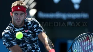 Juan Martin Del Potro se întoarce pe teren