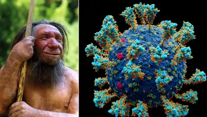 O genă de risc moştenită de la neanderthalieni, motivul pentru care unele persoane dezvoltă Covid sever

