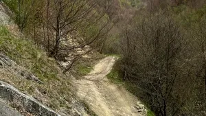 Incendiul de pădure din Argeș a fost lichidat după cinci zile